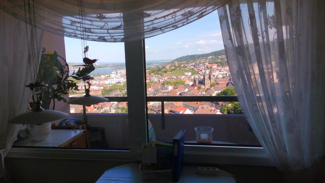Grosses Panorama Apartment بينجين ام راين المظهر الخارجي الصورة